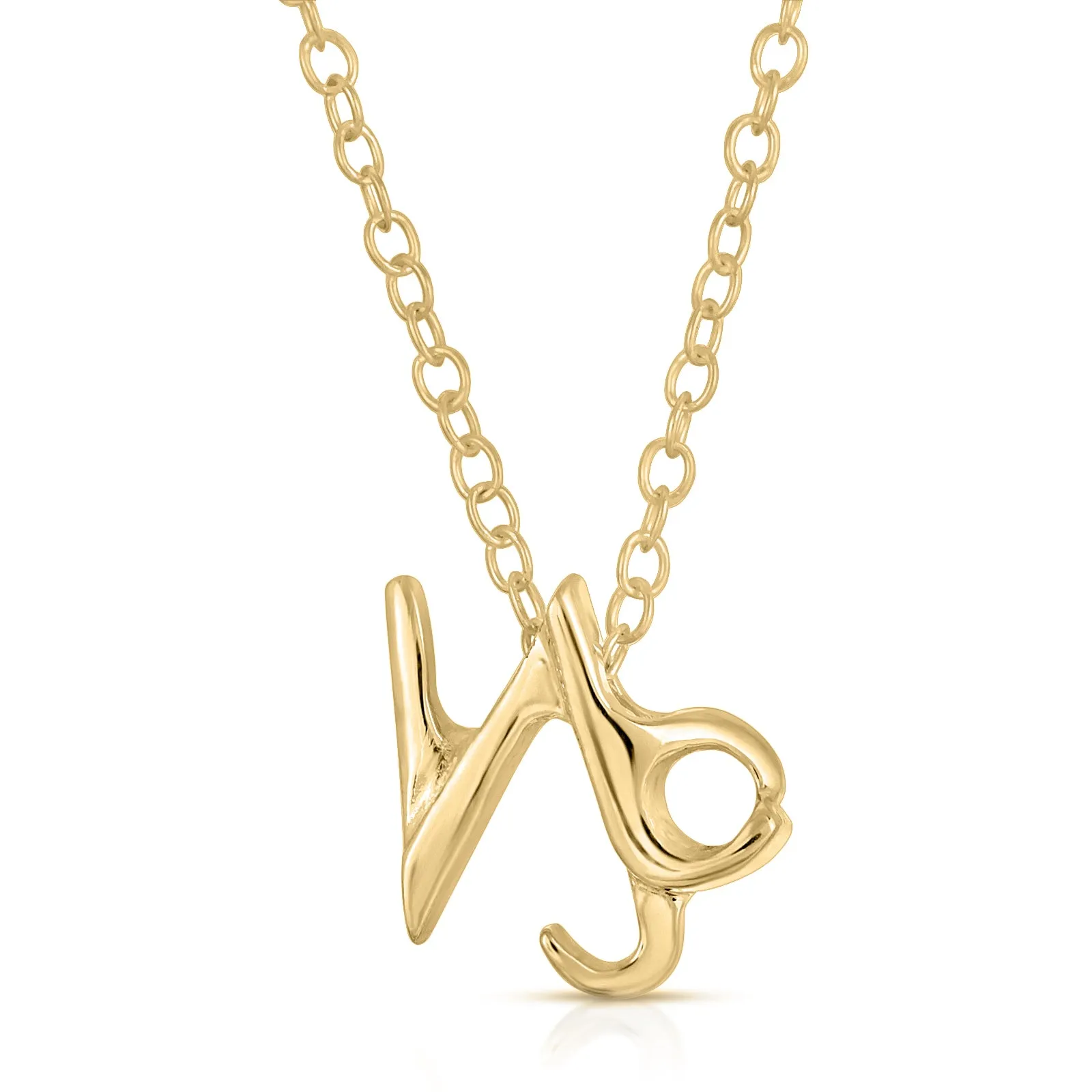 Capricorn Necklace