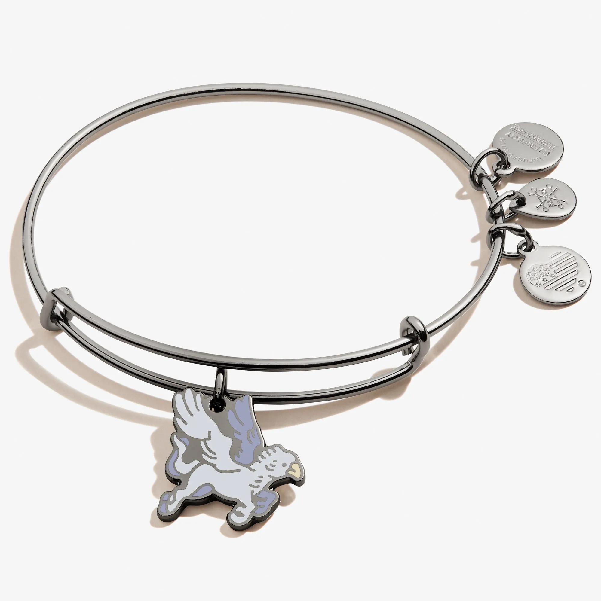 Harry Potter Buckbeak Charm Bangle